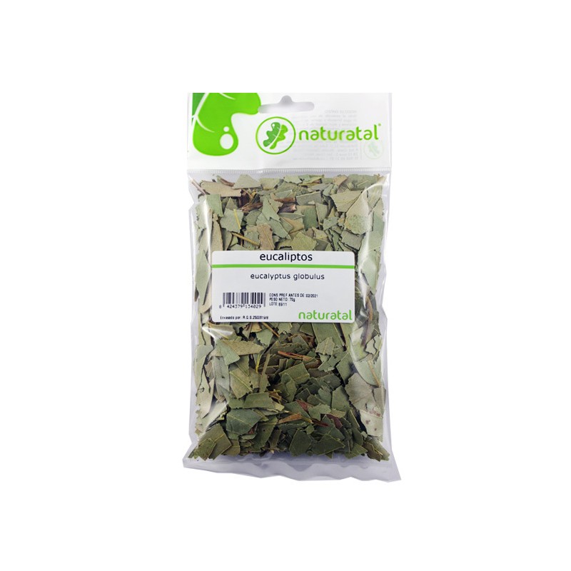 eucalipto hojas eucalyptus globulus 70gr