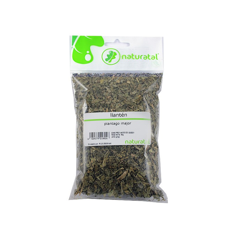 llanten plantago major 50gr